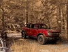 Bronco.webp