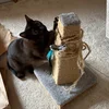 another repair job needed.webp