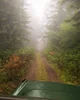 DSCF0659.webp