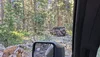 PXL_20260805_160325331.webp