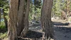 PXL_20260805_184423963.webp