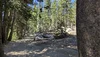 PXL_20260805_184431232.webp