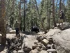 1786308975065-nu.webp