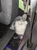 PXL_20240906_031902311.webp