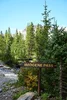 DSC02125.webp