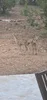 20260826_132922.webp