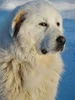 images (5).webp