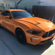 Bronco Tony