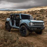 Cajun_Bronco