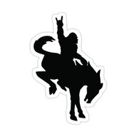 Wildtrak Guy