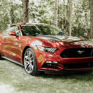 Mustang66kd
