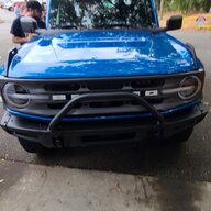 Palmettobronco