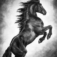 Bucking Bronco