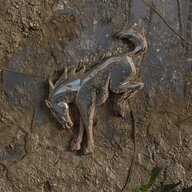 dcbronco