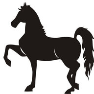 Black_Stallion13