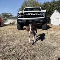 DrPowerstroke