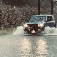 BlueDaisyBronco