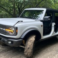FordHorses