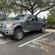 Bronco Gilly