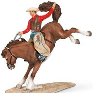 Bronc281
