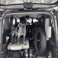 Squirreldog