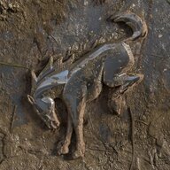 Warthog