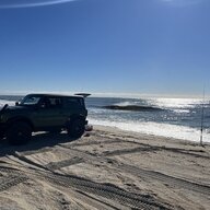SEAWEED