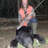 Big Norwegian