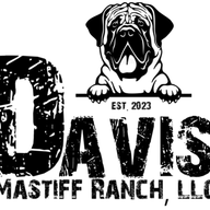 davidjdavis