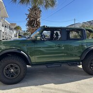youngturtle