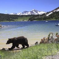 Tahoe Gaucho