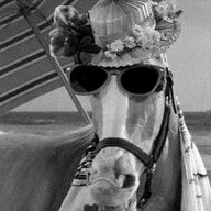 Mister Ed
