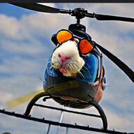 RotorRat