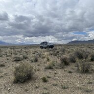 Greylittlebronco
