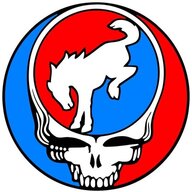 DancingBear51