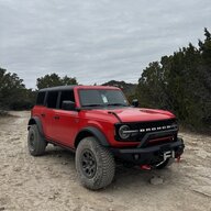 WildStallion69