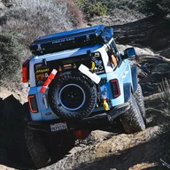 BlueBlueBronco