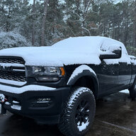 Texas_Bronc