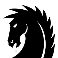 Bronc0311