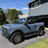 Bluebull