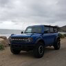 Buttercup.the.bronco