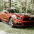 Mustang66kd