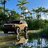 Miamibronco