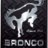 PNWbroncoFam1977