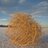 Tumbleweed