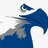 blueeagle75
