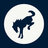 Gulf Coast Bronco Associa