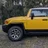 Lowcountry Bronco