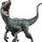 raptorblue