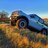 402BucknBronc